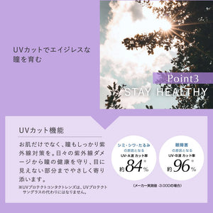 Pranair 1 Day Clear Lens [ BC8.8 / DIA14.1 ]