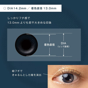 美瞳 Fairy 日抛 <br>Shimmering Sirius Misty<br><font size="3">[UV/Moisture/基弧8.6/直径14.5]</font>