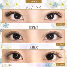将图片加载到图库查看器，美瞳 User Select 月抛 &lt;br&gt;Standard Brown&lt;br&gt;&lt;font size=&quot;3&quot;&gt;[基弧8.6/直径14.2]&lt;/font&gt;
