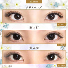 将图片加载到图库查看器，美瞳 User Select 月抛 &lt;br&gt;Standard Brown&lt;br&gt;&lt;font size=&quot;3&quot;&gt;[基弧8.6/直径14.2]&lt;/font&gt;
